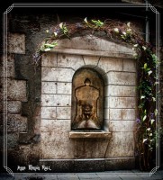 /album/fotogaleria-girona/anna-temps-de-flors-2016-060-inpixio-640x480-jpg/